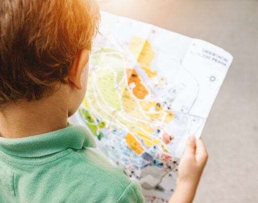 A boy looking at a map on a sunny day